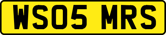 WS05MRS
