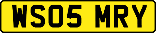 WS05MRY