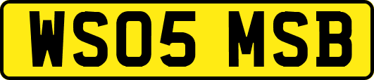 WS05MSB