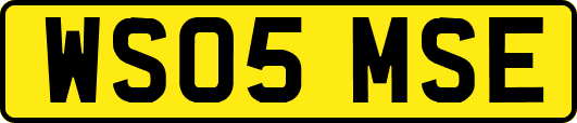 WS05MSE