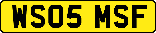 WS05MSF