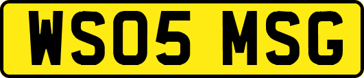 WS05MSG