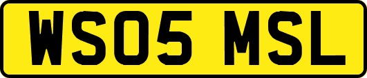 WS05MSL