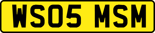 WS05MSM