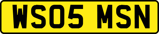 WS05MSN