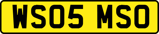 WS05MSO