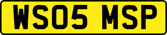 WS05MSP