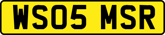 WS05MSR