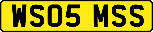 WS05MSS