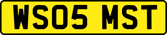 WS05MST