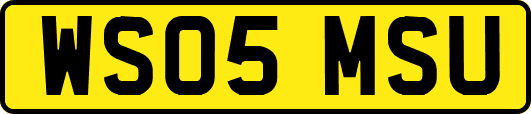 WS05MSU