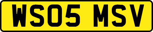 WS05MSV
