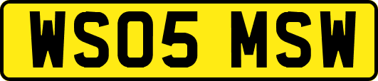 WS05MSW