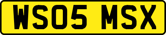 WS05MSX