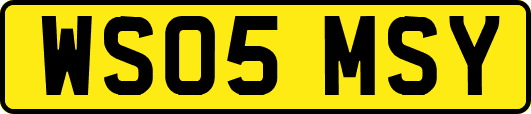 WS05MSY