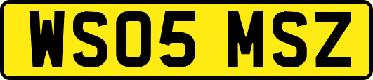 WS05MSZ