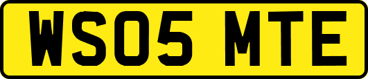 WS05MTE