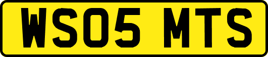 WS05MTS