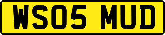 WS05MUD