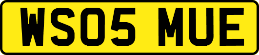 WS05MUE