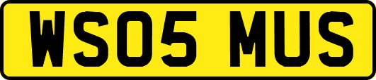 WS05MUS