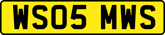 WS05MWS