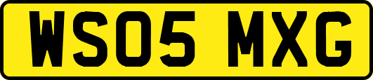 WS05MXG