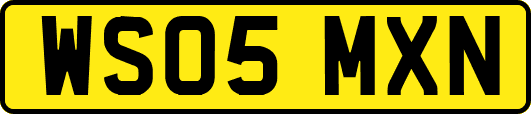 WS05MXN