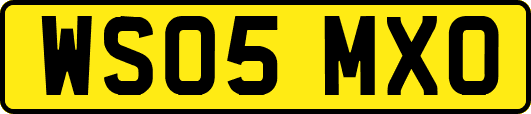 WS05MXO