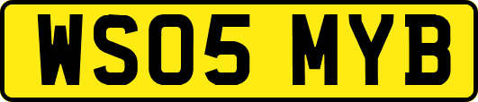 WS05MYB