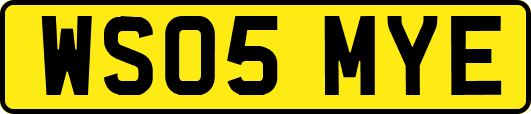 WS05MYE