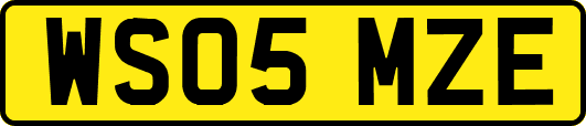 WS05MZE