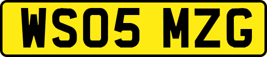 WS05MZG