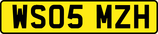 WS05MZH