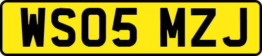 WS05MZJ