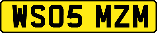 WS05MZM