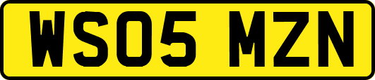 WS05MZN