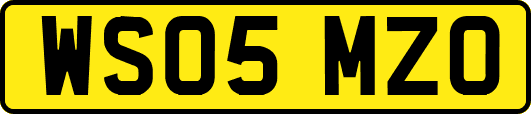 WS05MZO