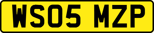 WS05MZP