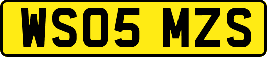 WS05MZS