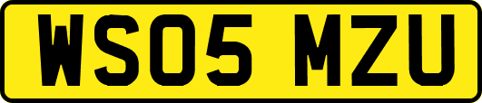 WS05MZU