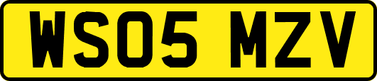 WS05MZV