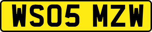 WS05MZW