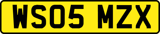 WS05MZX