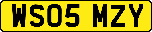WS05MZY