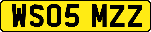 WS05MZZ