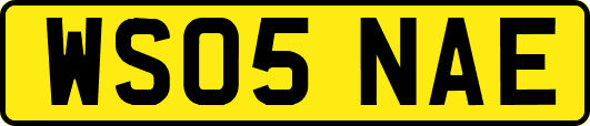 WS05NAE