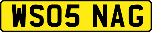WS05NAG