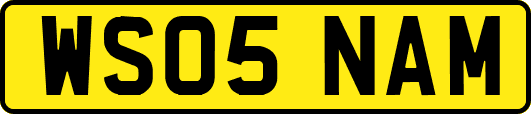 WS05NAM