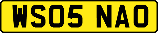 WS05NAO